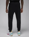 Спортивні штани Nike JORDAN MJ DF SPRT FLC GFX PANT чорні FN5814-010