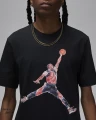 Футболка Nike MJ BRAND JM WTRCLR SS CREW чорна FN5980-010