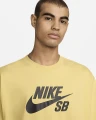 Футболка Nike M NK SB TEE LOGO HBR жовта CV7539-700