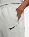 Спортивные штаны Nike PARK 20 серые CW6907-063