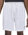 Шорти баскетбольні Nike JORDAN SPORT MEN'S DRI-FIT MESH SHORTS білі FN5816-100