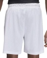 Шорти баскетбольні Nike JORDAN SPORT MEN'S DRI-FIT MESH SHORTS білі FN5816-100