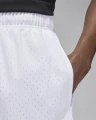 Шорти баскетбольні Nike JORDAN SPORT MEN'S DRI-FIT MESH SHORTS білі FN5816-100