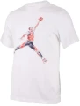 Футболка Nike JORDAN MJ BRAND JM WTRCLR SS CREW біла FN5980-100