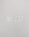 Худі Nike U NK SB FLC PO ESSENTIAL LBR сіра FN2502-003