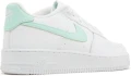 Ккросівки підліткові Nike AIR FORCE 1 GS біло-м'ятні CT3839-105