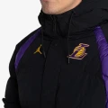 Куртка Nike JORDAN LAL M JKT FILL CTS ST чорно-фіолетова DN4715-010