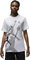 Футболка Nike MJ BRAND SS HBR CREW біла FN6025-100