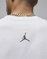 Футболка Nike M J SPRT SS DF GFX CREW белая FN6016-100