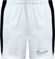 Шорти Nike M NK DF ACADEMY PRO SHORT KZ GX світло-сірі FN2413-043