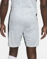 Шорти Nike M NK DF ACADEMY PRO SHORT KZ GX світло-сірі FN2413-043