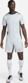 Шорти Nike M NK DF ACADEMY PRO SHORT KZ GX світло-сірі FN2413-043
