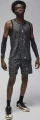 Шорти баскетбольні Nike JORDAN SPORT MEN'S DRI-FIT DIAMOND SHORTS темно-сірі FN5862-010