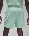 Шорты баскетбольные Nike JORDAN SPORT MEN'S DRI-FIT MESH SHORTS мятные FN5816-353