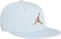 Кепка Nike JORDAN UJ PRO CAP FB FLT MVP блакитно-коричнева FV5292-436