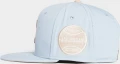 Кепка Nike JORDAN U J PRO CAP S FB FLT MVP голубо-коричневая FV5292-436