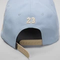 Кепка Nike JORDAN U J PRO CAP S FB FLT MVP голубо-коричневая FV5292-436