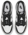 Кросівки підліткові Nike DUNK LOW (GS) чорно-білі CW1590-100