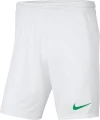 Шорты Nike PARK III SHORT NB бело-зеленые BV6855-102