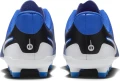 Бутси дитячі Nike JR TIEMPO LEGEND 10 CLUB FG/MG синьо-білі DV4352-400