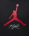 Толстовка Nike JORDAN M J ESS FLC BASELINE HOODIE черно-красная FD7545-013