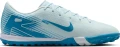 Сороконіжки (шиповки) Nike MERCURIAL ZOOM VAPOR 16 ACADEMY TF блакитні FQ8449-400