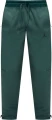 Спортивні штани Nike JORDAN SPORT HOOP FLEECE DRI-FIT PANTS темно-зелені FV8604-366