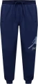 Спортивні штани Nike JORDAN MJ ESS FLC BASELINE PANT темно-сині FD7345-410