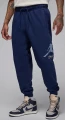 Спортивні штани Nike JORDAN MJ ESS FLC BASELINE PANT темно-сині FD7345-410