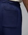 Спортивні штани Nike JORDAN MJ ESS FLC BASELINE PANT темно-сині FD7345-410