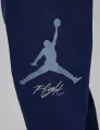 Спортивні штани Nike JORDAN MJ ESS FLC BASELINE PANT темно-сині FD7345-410