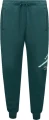 Спортивні штани Nike MJ ESS FLC BASELINE PANT темно-зелені FD7345-366