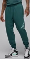 Спортивні штани Nike MJ ESS FLC BASELINE PANT темно-зелені FD7345-366
