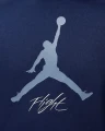 Толстовка Nike JORDAN MJ ESS FLC BASELINE HOODIE темно-синя FD7545-410