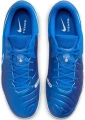 Футзалки (бампы) Nike TIEMPO LEGEND 10 ACADEMY IC синие DV4341-400