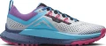 Кросівки для трейлраннінгу Nike REACT PEGASUS TRAIL 4 SE світло-сіро-синьо-рожеві FB7182-001