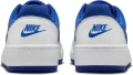 Кроссовки Nike FULL FORCE LOW бело-синие FB1362-104