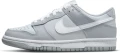 Кросівки підліткові Nike DUNK LOW (GS) сірі DH9765-001