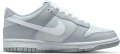 Кросівки підліткові Nike DUNK LOW (GS) сірі DH9765-001