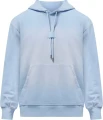 Худі Nike JORDAN FLIGHT FLEECE WASH блакитне FV7249-407