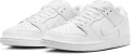 Кросівки Nike SB DUNK LOW PRO білі FJ1674-100