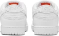Кросівки Nike SB DUNK LOW PRO білі FJ1674-100