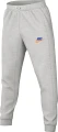 Спортивні штани Nike CLUB BB JOGGER CHNL FUTURA сірі FN3094-063