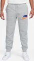 Спортивные штаны Nike CLUB BB JOGGER CHNL FUTURA серые FN3094-063