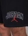 Шорты Nike JORDAN BROOKLYN FLEECE GRAPHIC SHORTS черные IB7910-010