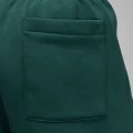 Шорти Nike JORDAN MVP FLEECE SHORTS темно-зелені FV7231-366