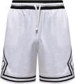 Шорти баскетбольні Nike JORDAN DRI-FIT MESH DIAMOND SHORTS білі HF9910-100