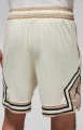 Шорти баскетбольні Nike JORDAN DRI-FIT SPORT DIAMOND SHORTS бежеві DX1487-113