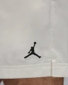 Шорты Nike JORDAN POOLSIDE 5" молочные HF9371-133