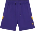Шорти баскетбольні Nike KOBE DRI-FIT 6IN BASKETBALL SHORTS фіолетові HJ8103-547